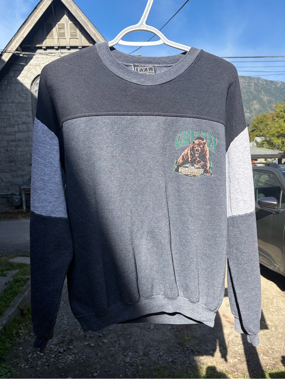 Vintage Grizzly Wilderness Gray Colorblock Crewneck Sweater